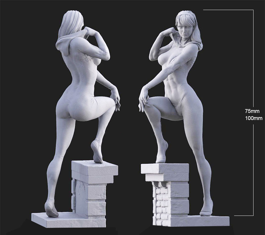 1/24 75mm 1/18 100mm Resin Mod - Resin Art Zelda 评论和价格